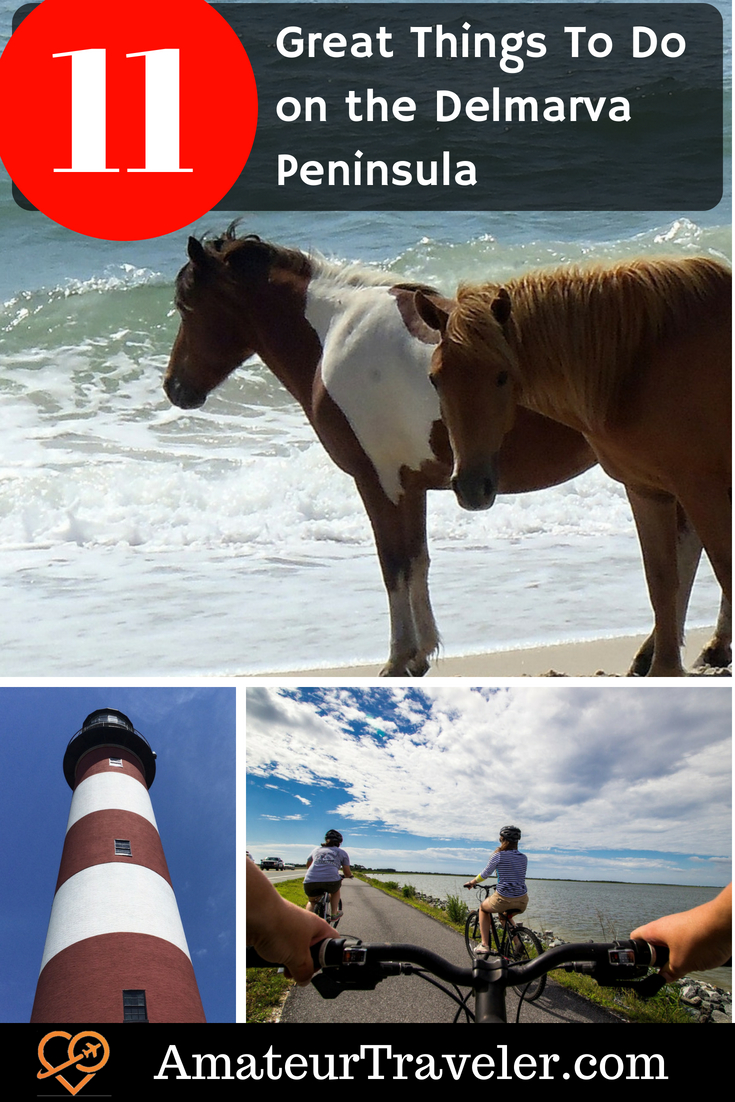 11 Great Things To Do on the Delmarva Peninsula #travel #virginia #maryland #delaware #Assateague #Chincoteague
