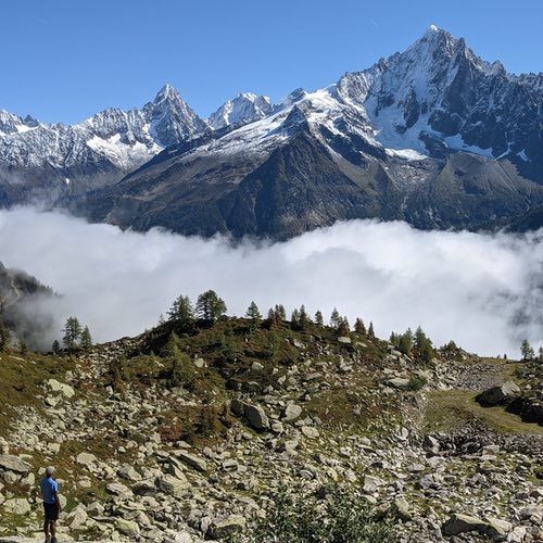 Tour du Mont Blanc Guide – Scenic Trails & Tips