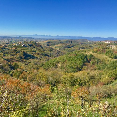 Things to do in Goriška Brda, the Tuscany of Slovenia